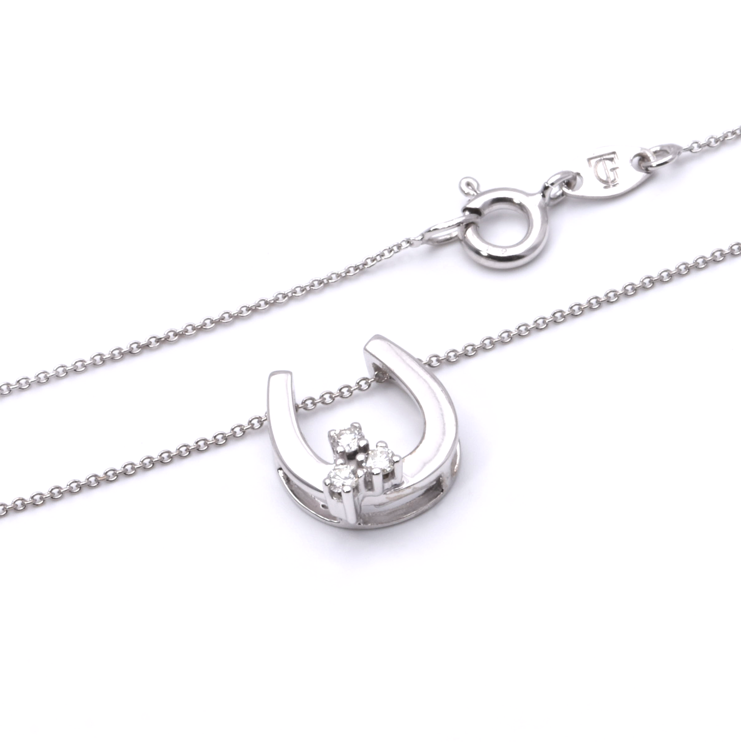 Kette mit Hufeisen Anhänger